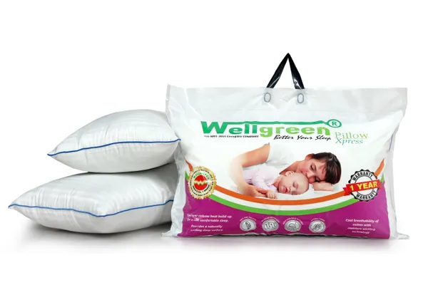 Ease_feel_Pillow_White_And_Blue_Cotton_Cover_And_Polyester_Fiber_Filling_Pillow