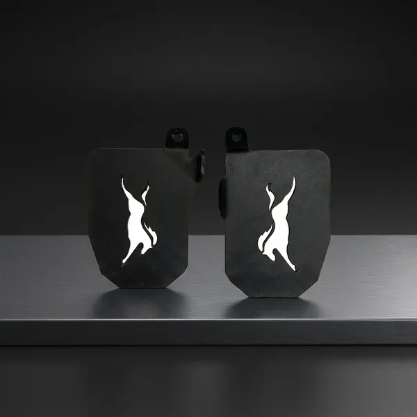 TVS_Ronin_Footrest_-_Metal_Footrest_Panels_With_Flame_Design_(Set_of_2)