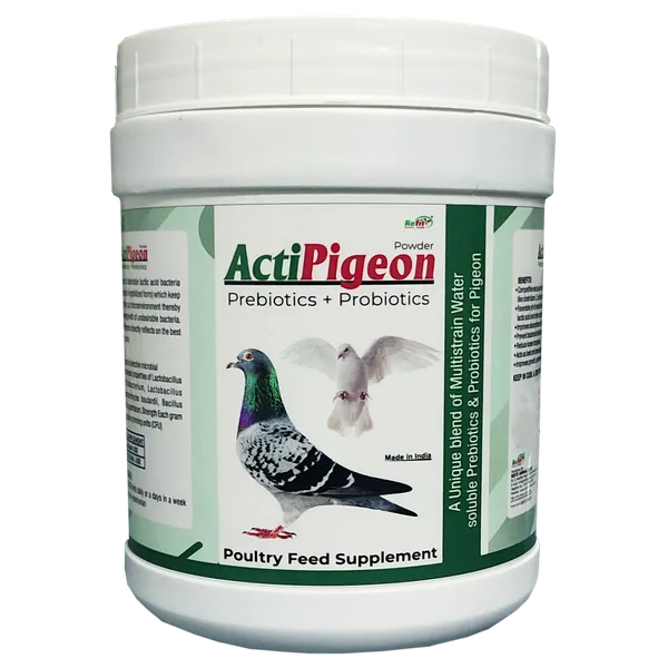 Prebiotics_and_Probiotics_for_Pigeons,_ActiPigeon_500_gm.
