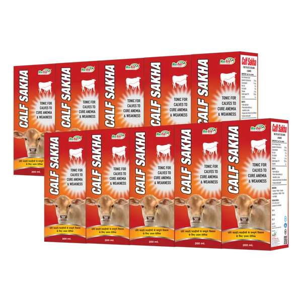 Calf_Growth_Tonic_Liquid_Feed_Supplement,_Calf_Sakha_200_ml_(Set_of_10_Pcs)