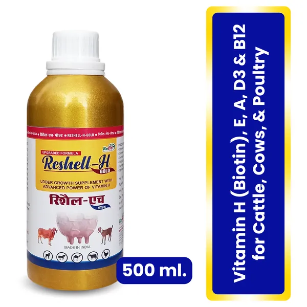 Veterinary_Vitamin_H_Supplement_for_Cow,_Cattle,_Goat,_Chicken,_Layers,_Broilers,_Poultry_and_Other_Livestock_Animals,_Reshell-H_GOLD_500_ml