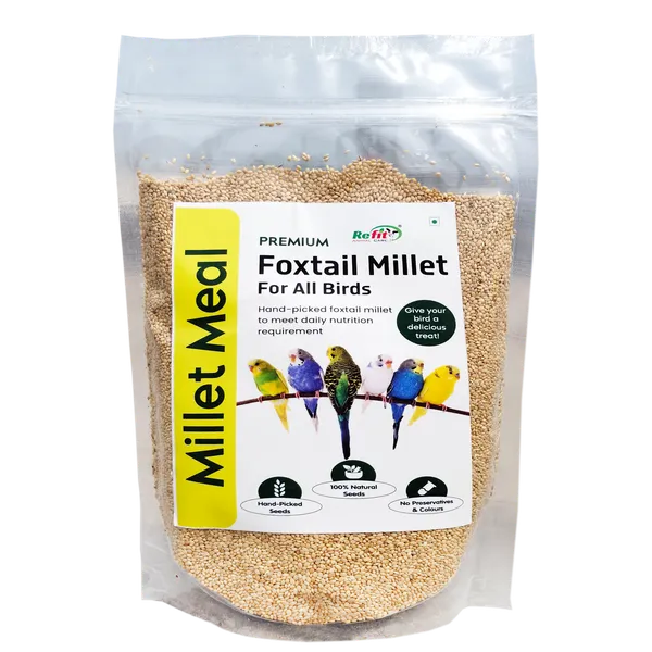 Foxtail_Millet_for_Birds,_Kangni_Seeds_for_Birds,_Millet_Meal_450_Gms