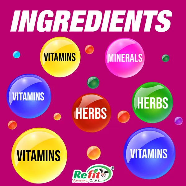 Poultry_Acidifier_Liquid_Supplement_for_Chicken,_Chicks_and_Birds,_Acido_Gut_1_Ltr.