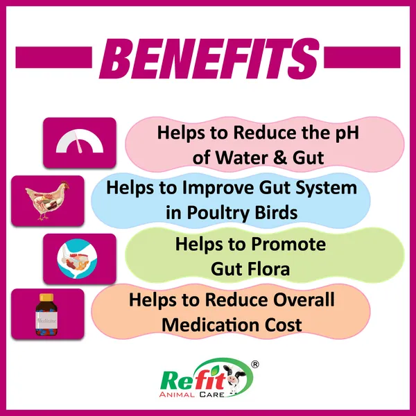 Poultry_Acidifier_Liquid_Supplement_for_Chicken,_Chicks_and_Birds,_Acido_Gut_1_Ltr.
