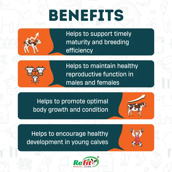 Calf_Growth_Promoter_Powder_Supplement_for_Healthy_Weight_Gain,_Immunity_&_Digestion_Support,_Bada_Bachda_5_Kg
