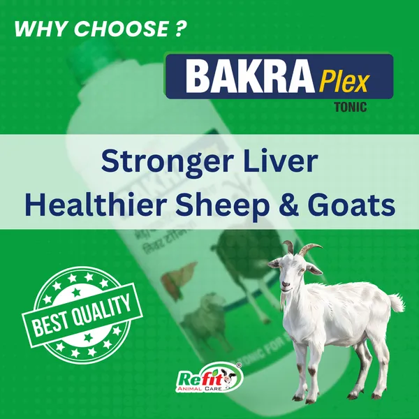 Liver_Tonic_Supplement_for_Goat_&_Sheep,_Bakra_Plex_5_Ltr