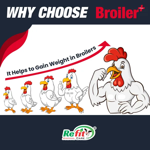 Broiler_Weight_Gainer_Poultry_Feed_Supplement_for_Chicken,_Chicks_and_Birds,_Broiler_+10_Kg.