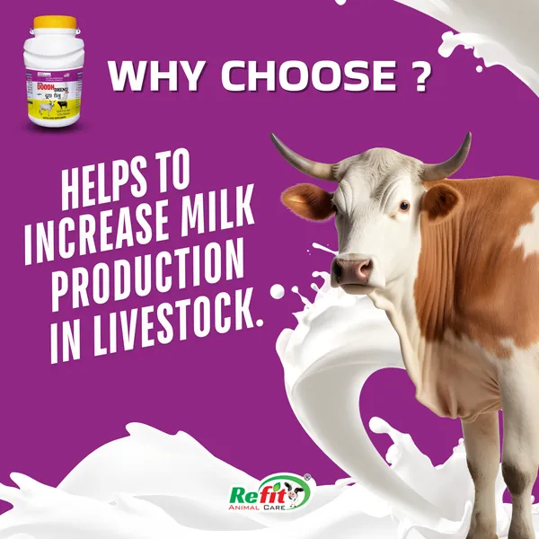 Chelated_Liquid_Calcium_for_Cattle,_Cow,_Buffalo,_Goat_and_Dairy_Farm_Animals,_Doodh_Dhenu_1_Ltr