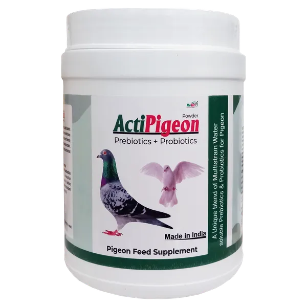 Prebiotics_and_Probiotics_for_Pigeons,_Acti_Pigeon_1_Kg