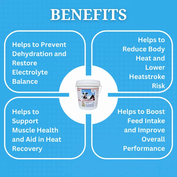 Electrolyte_&_Hydration_Supplement_Powder_for_Cow,_Cattle,_Poultry,_Swine_and_Equine,_Freezlyte_5_Kg