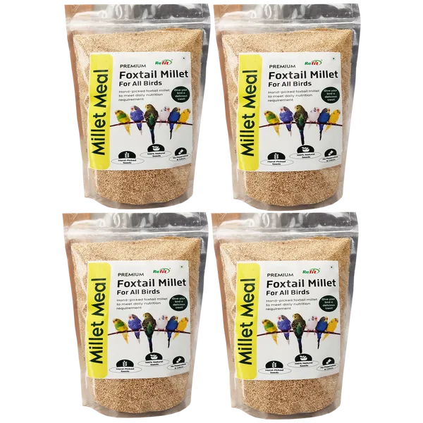 Foxtail_Millet_for_Birds,_Kangni_Seeds_for_Birds,_Millet_Meal_450_Gms_(Set_of_4_Pcs)