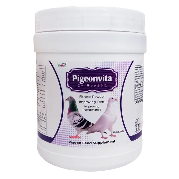 Fitness_Powder_Performance_supplement_Pet_Health_Supplements,_Pigeonvita_Boost_500_gm.