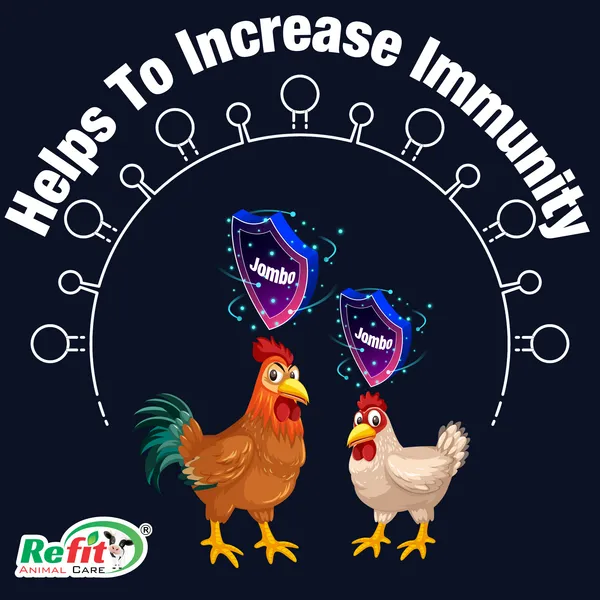 Immunity_Booster_Supplement_for_Poultry,_Jombo_5_Ltr.
