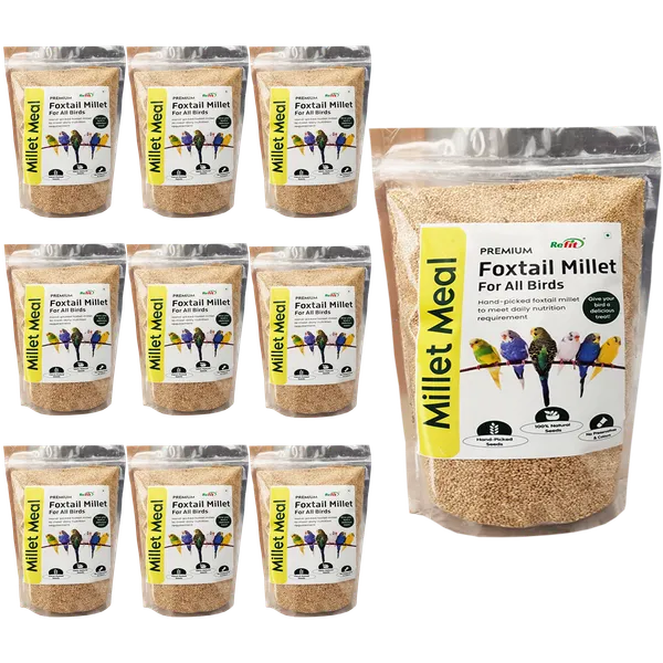 Foxtail_Millet_for_Birds,_Kangni_Seeds_for_Birds,_Millet_Meal_450_Gms_(Set_of_10_Pcs)