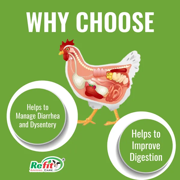 Anti_Diarrheal_Liquid_Supplement_for_Poultry,_No_Drop_Tonic_5_Ltr
