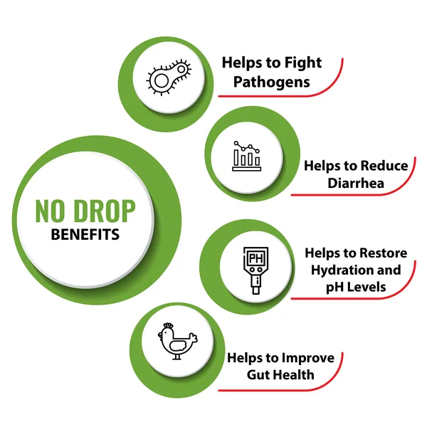 Anti_Diarrheal_Liquid_Supplement_for_Poultry,_No_Drop_Tonic_5_Ltr