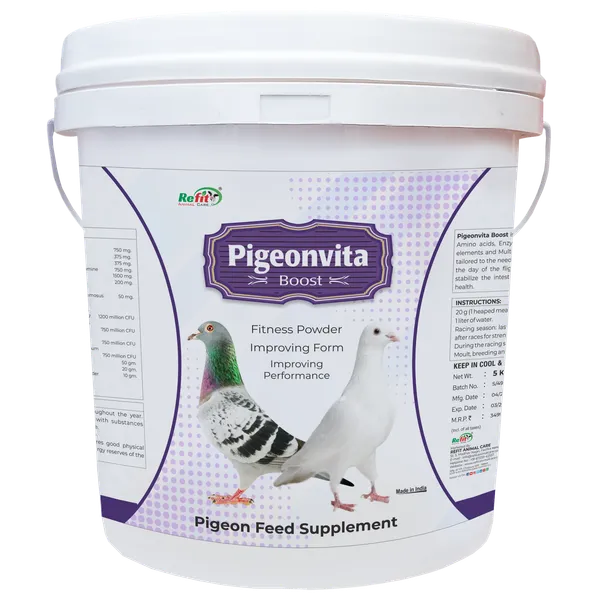 Fitness_Powder_Performance_supplement_Pet_Health_Supplements,_Pigeonvita_Boost_5_Kg.