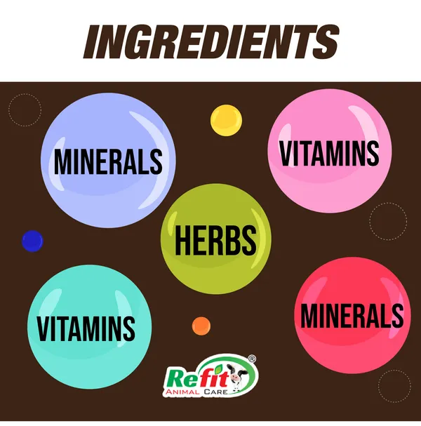 Nutritional_Supplement_for_Pregnant_Cow,_Cattle_&_Buffalo,_R-Bolite_+_20_Pouches_of_50_gm.
