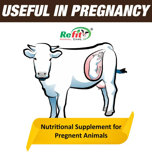 Nutritional_Supplement_for_Pregnant_Cow,_Cattle_&_Buffalo,_R-Bolite_+_20_Pouches_of_50_gm.