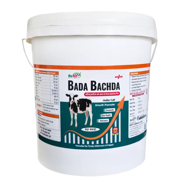 Calf_Growth_Promoter_Powder_Supplement_for_Healthy_Weight_Gain,_Immunity_&_Digestion_Support,_Bada_Bachda_5_Kg