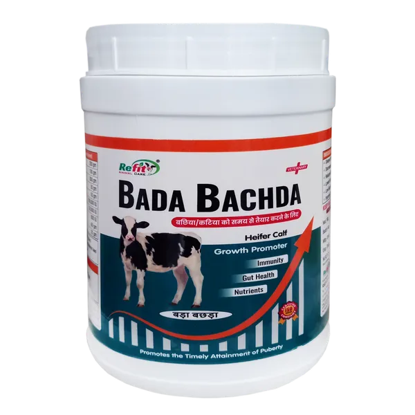 Calf_Growth_Promoter_Powder_Supplement_for_Healthy_Weight_Gain,_Immunity_&_Digestion_Support,_Bada_Bachda_1_Kg
