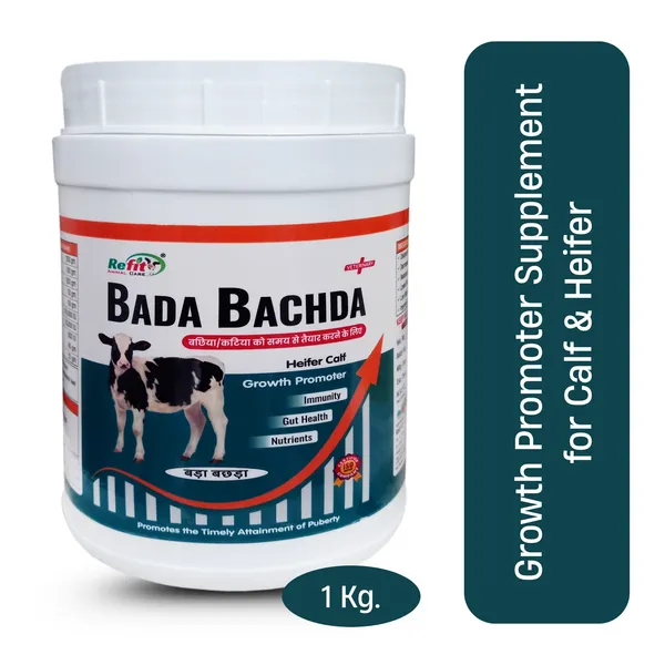 Calf_Growth_Promoter_Powder_Supplement_for_Healthy_Weight_Gain,_Immunity_&_Digestion_Support,_Bada_Bachda_1_Kg