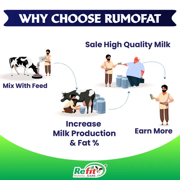 Rumen_Bypass_Fat_Powder_for_Cows,_Buffalo,_Goat,_Cattle_and_Other_Dairy_Farm_Animals,_Rumo_Fat_5_Kg.