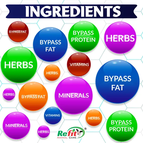 Rumen_Bypass_Fat_Powder_for_Cows,_Buffalo,_Goat,_Cattle_and_Other_Dairy_Farm_Animals,_Rumo_Fat_5_Kg.