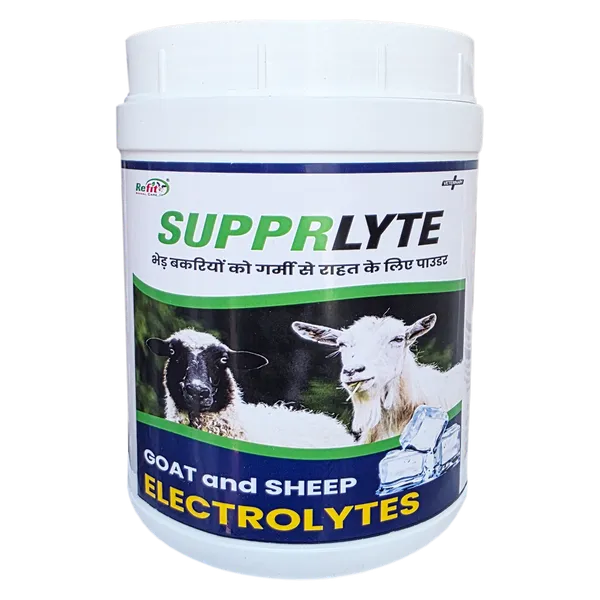 Electrolyte_and_Hydration_Supplement_Powder_for_Goat,_Sheep_and_Livestock_Animals,_Supprlyte_1_Kg