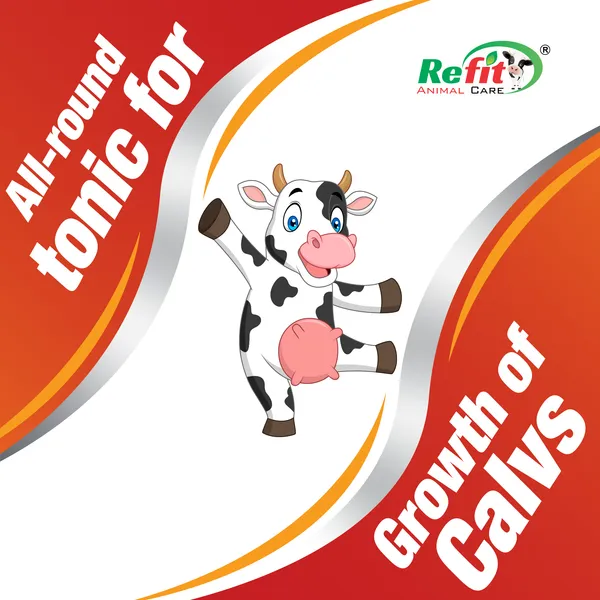 Calf_Growth_Tonic_Liquid_Feed_Supplement,_Calf_Sakha_1_Ltr_(Set_of_2_Pcs)