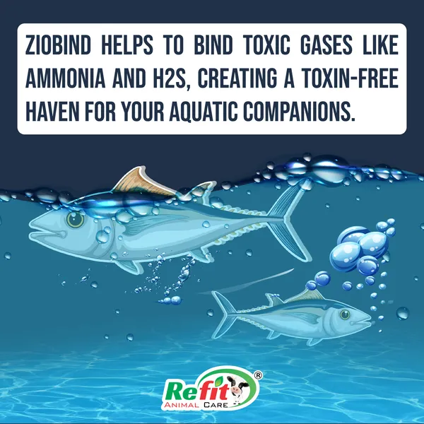 Zeolite_Ammonia_Binder_for_Aquatic_Animals,_Fish_Tanks,_Aquariums_and_Ponds,_ZEOBIND_5KG