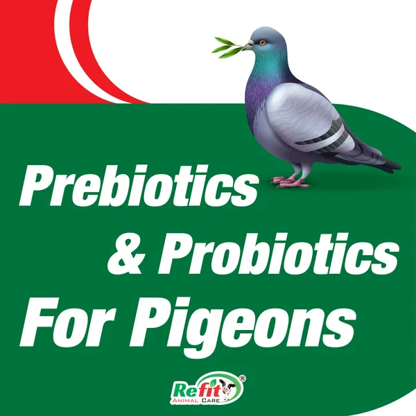 Prebiotics_and_Probiotics_for_Pigeons,_Acti_Pigeon_20_Kg