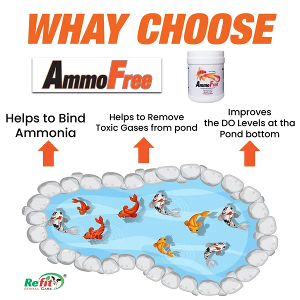 Ammonia_Binder_with_Yucca_Extract_for_Fish,_Shrimp,_Prawns_and_Aqua_Animal,_AmmoFree_300_gm.