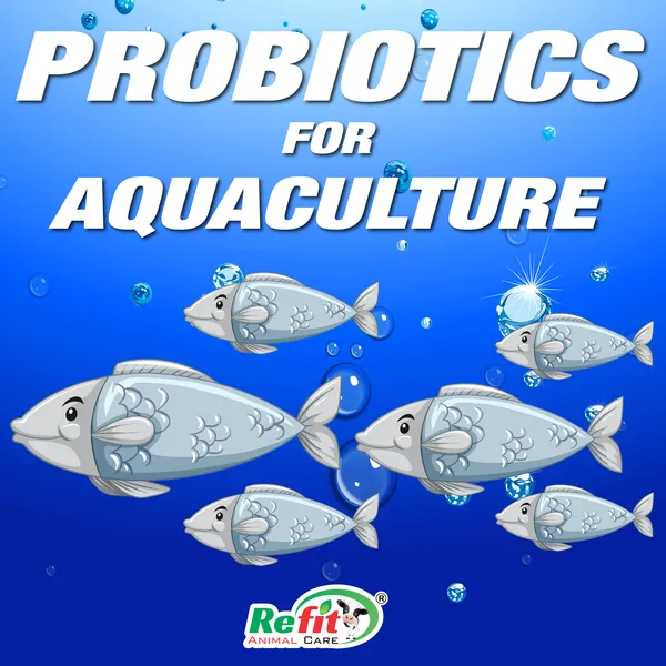 Biofloc_Probiotics_for_Fish,_Shrimp,_Prawns_and_Aquaculture_Farming,_Aqua_Prob+_5_Kg