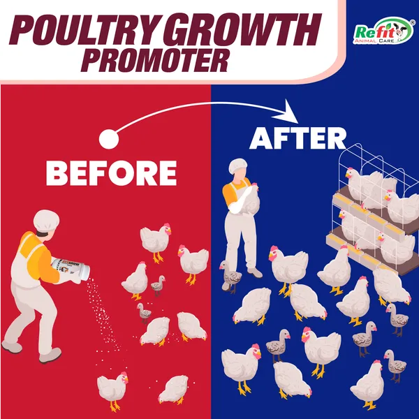 Poultry_Growth_Supplement_for_Chicken,_Chicks,_Broiler_and_Poultry_Farming,_Ave_Grow_3_Kg._