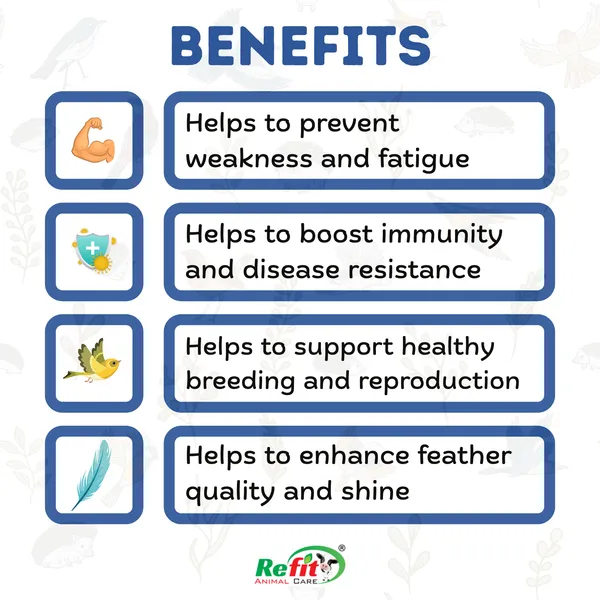 Immunity_Booster_for_Birds,_Bird_Boost_100_ML_(Set_of_3_Pcs)