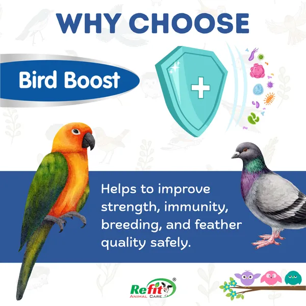 Immunity_Booster_for_Birds,_Bird_Boost_100_ML_(Set_of_3_Pcs)