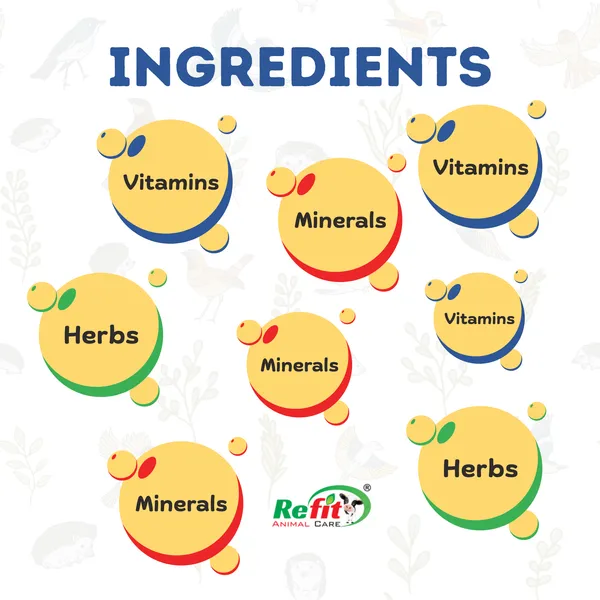 Immunity_Booster_for_Birds,_Bird_Boost_100_ML_(Set_of_3_Pcs)