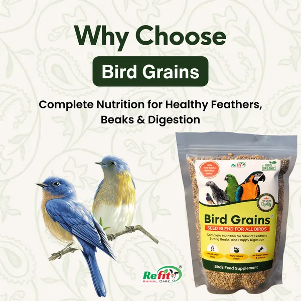 Mix_Seeds_Bird_Food_All_Types_of_Birds_|_Seed_Blend_of_6_Grains_and_Nuts,_Bird_Grains_450_Gms_(Set_of_25_Pcs)