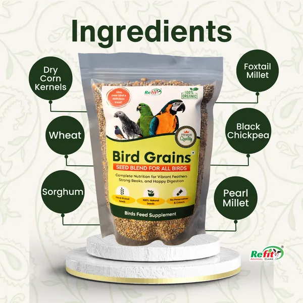 Mix_Seeds_Bird_Food_All_Types_of_Birds_|_Seed_Blend_of_6_Grains_and_Nuts,_Bird_Grains_450_Gms