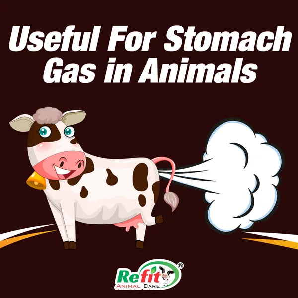 Anti_Bloating_Supplement_for_Cows,_Cattle_and_Livestock,_Bloat_Go_100_ml._(Set_of_5_Pcs)
