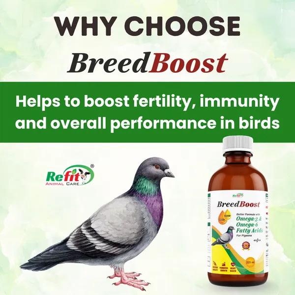 Growth_Booster_for_Birds,_Parrots,_Pigeons_and_Other_All_Types_of_Birds,_Breed_Boost_225_ML