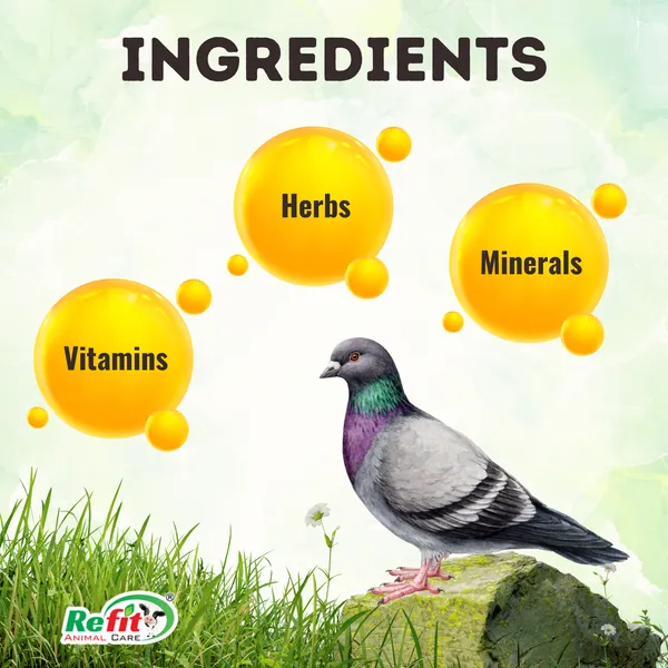 Growth_Booster_for_Birds,_Parrots,_Pigeons_and_Other_All_Types_of_Birds,_Breed_Boost_225_ML
