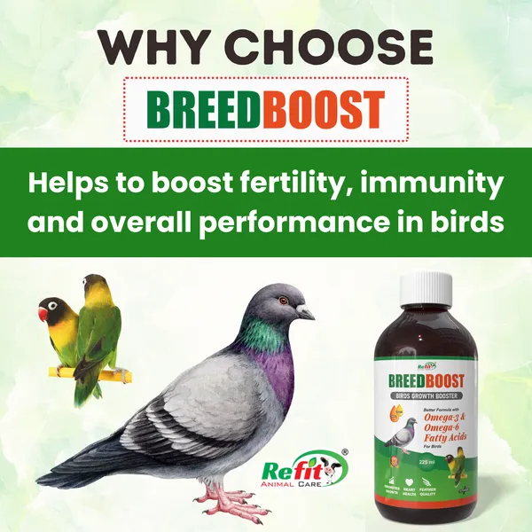 Growth_Booster_for_Birds,_Parrots,_Pigeons_and_Other_All_Types_of_Birds,_Breed_Boost_225_ML_(Set_of_3_Pcs)