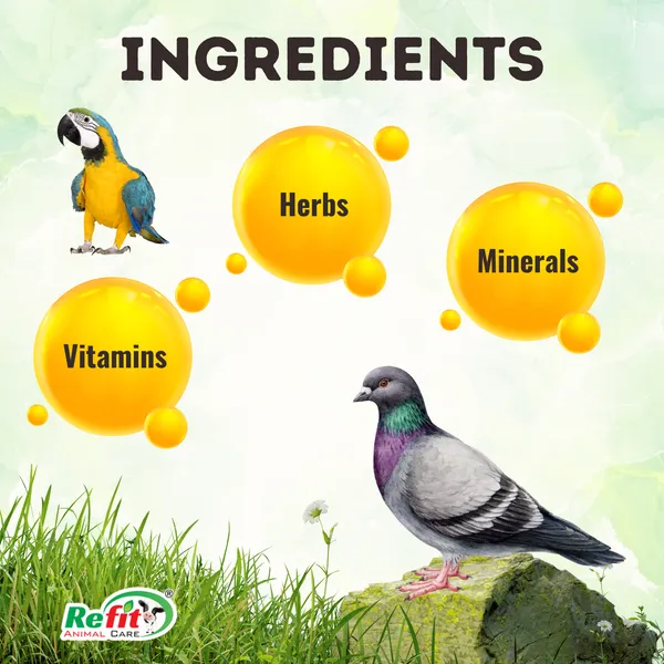 Growth_Booster_for_Birds,_Parrots,_Pigeons_and_Other_All_Types_of_Birds,_Breed_Boost_225_ML_(Set_of_3_Pcs)