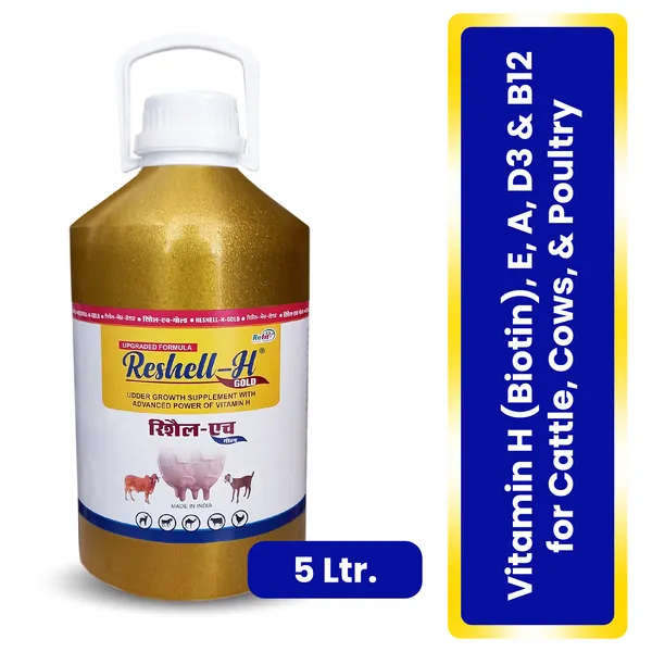 Veterinary_Vitamin_H_Supplement_for_Cow,_Cattle,_Goat,_Chicken,_Layers,_Broilers,_Poultry_and_Other_Livestock_Animals,_Reshell-H_GOLD_5_Ltr