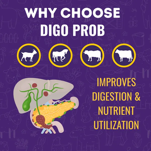Probiotics_and_Seaweed_Powder_for_Cattle,_Cow,_Buffalo,_Sheep,_Horse_and_Livestock,_Digo_Prob_1_Kg