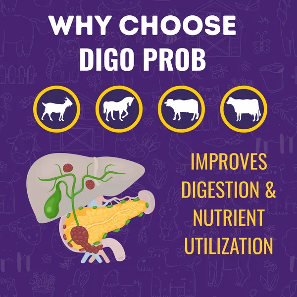 Probiotics_and_Seaweed_Powder_for_Cattle,_Cow,_Buffalo,_Sheep,_Horse_and_Livestock,_Digo_Prob_5_Kg