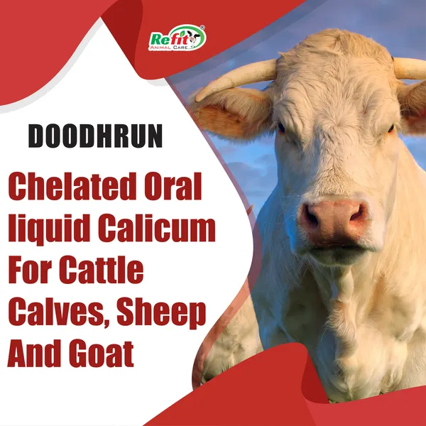 Chelated_Liquid_Calcium_for_Cows,_Buffaloes,_Goat,_Sheep_and_Cattle,_Doodhrun_5_Ltr.