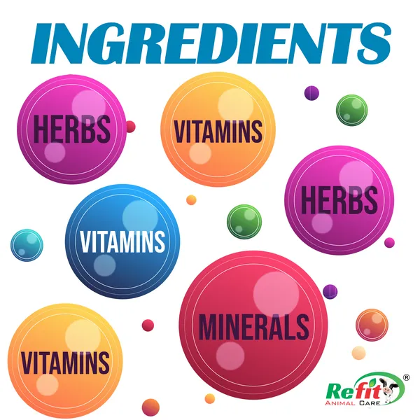 Milk_Boosting_Calcium_Supplement_for_Cow,_Cattle_and_Dairy_Farm_Animals,_DoodhYodha_10_Kg